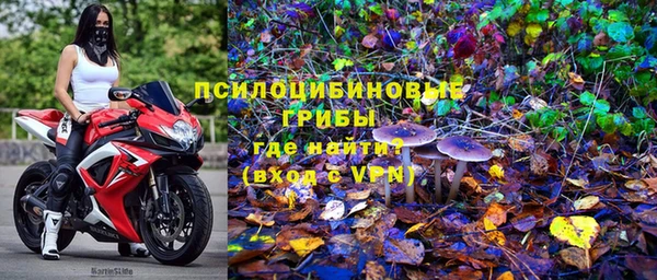 индика Навашино