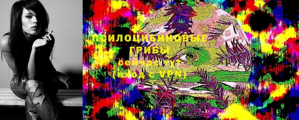 альфа пвп Надым