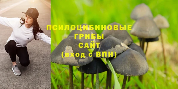 индика Навашино